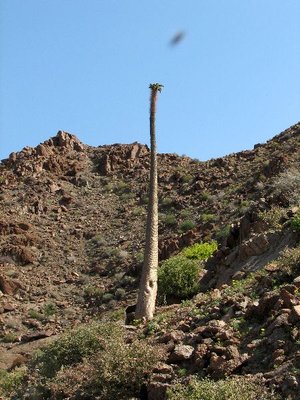 IMG_0486.jpg