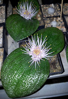20111122_171308.jpg