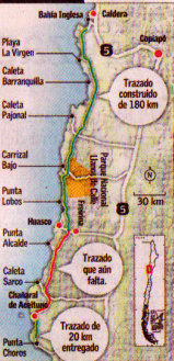 Caleta Pajonalensis